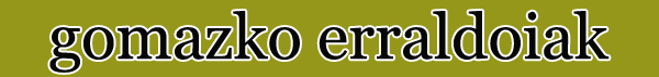 iru�eko alde zaharreko gomazko erraldoiak gigantes goma casco viejo pamplona lurra ura sua airea tierra agua fuego aire